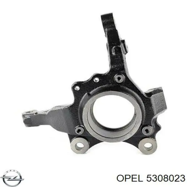 Mangueta delantera izquierda Opel 5308023 precio, desde 61,57 EUR