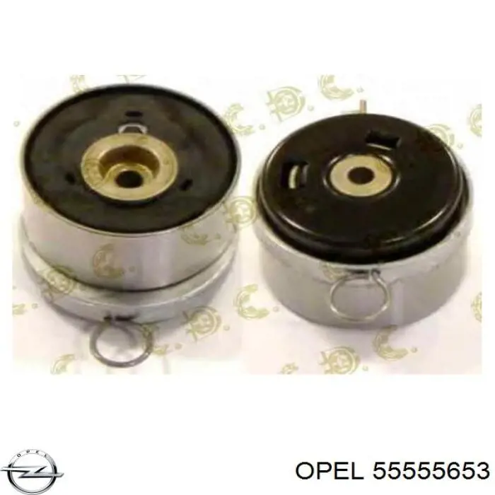 55555653 Opel rodillo, cadena de distribución