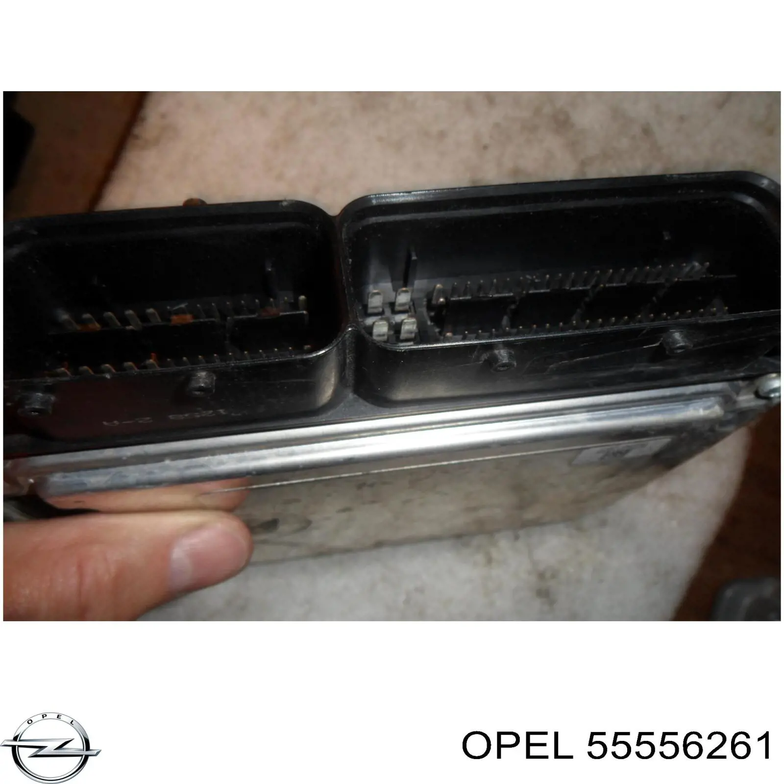 55556261 Opel