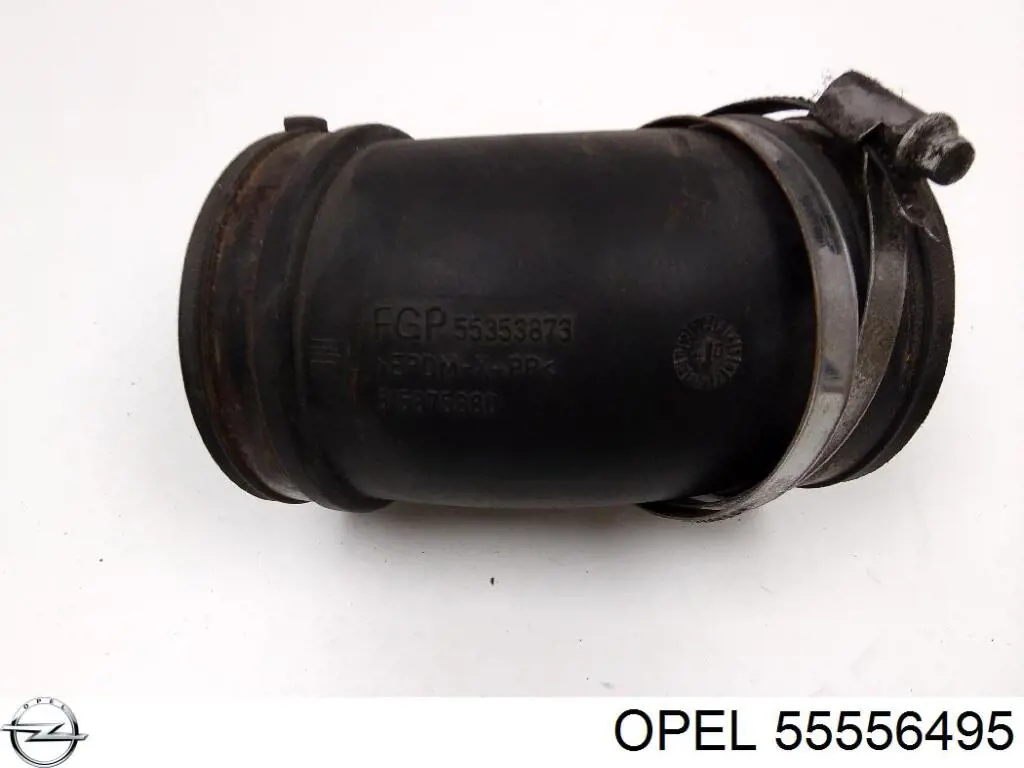 Comprar 55556495 Peugeot/Citroen Sistema de ventilación del cárter
