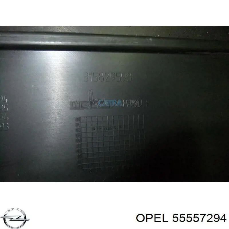 Comprar 55557294 Opel Tapa motor