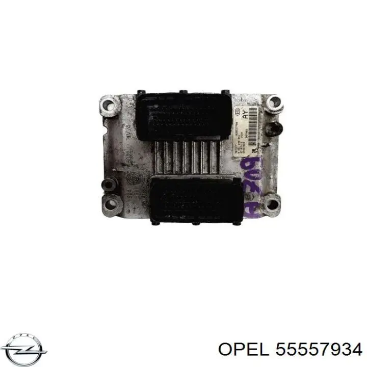 ECU 55557934 Opel