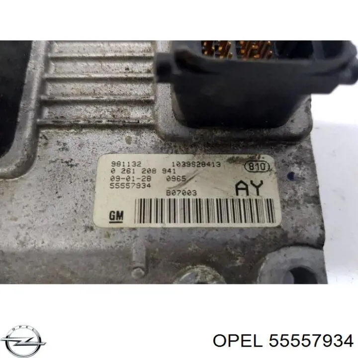 Unidad de control del motor  Opel 55557934 precio, desde 97,28 EUR