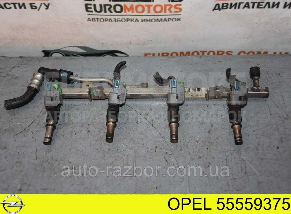 Comprar 55559375 Opel Rampa de combustible