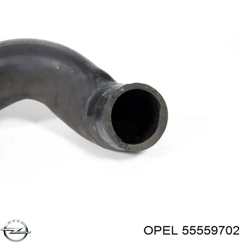 Comprar 24451330 General Motors Tubo intercooler
