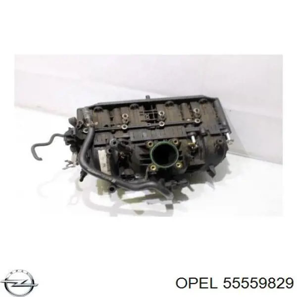  Opel 55559829 precio, desde 197,47 EUR