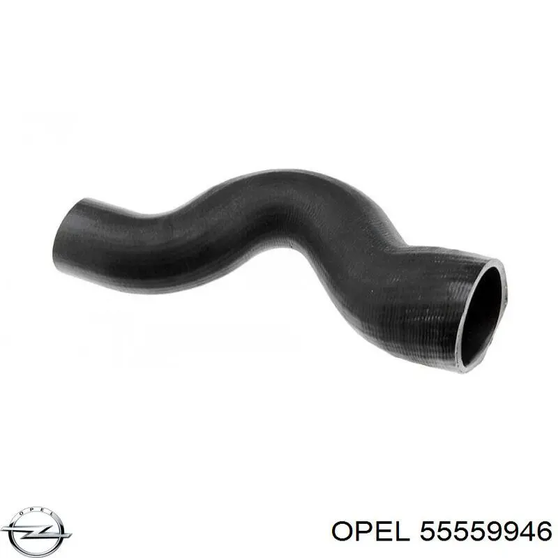 Manguera del intercooler Opel 55559946 precio, desde 15,81 EUR
