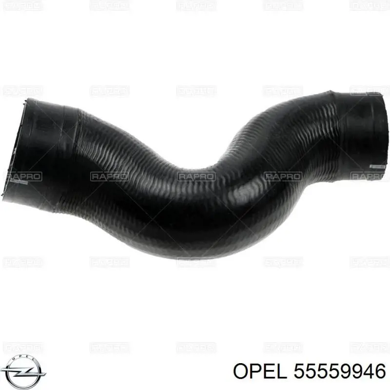 55559946 Opel tubo flexible de aire de sobrealimentación inferior