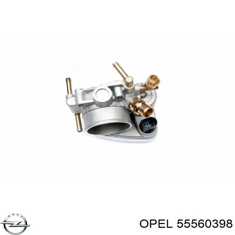Cuerpo de mariposa 55560398 Opel