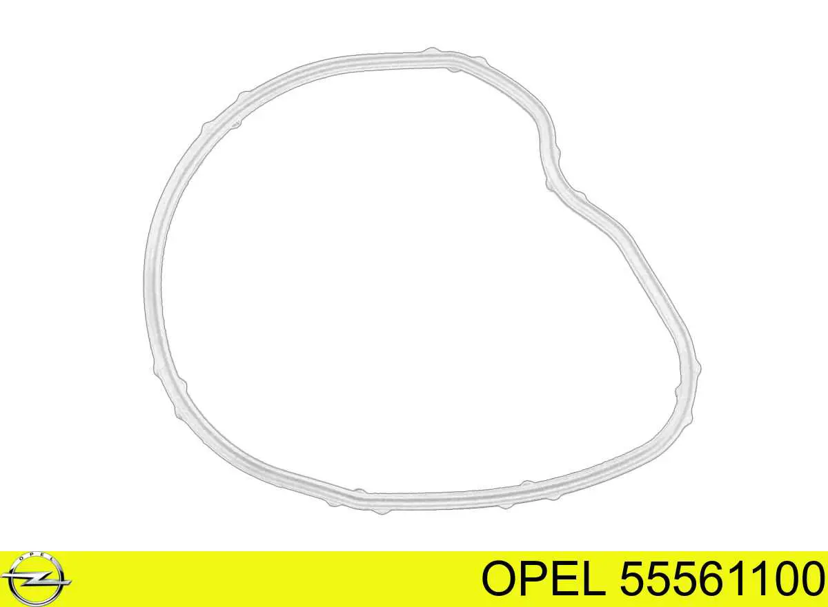 55561100 Opel junta, bomba de vacío