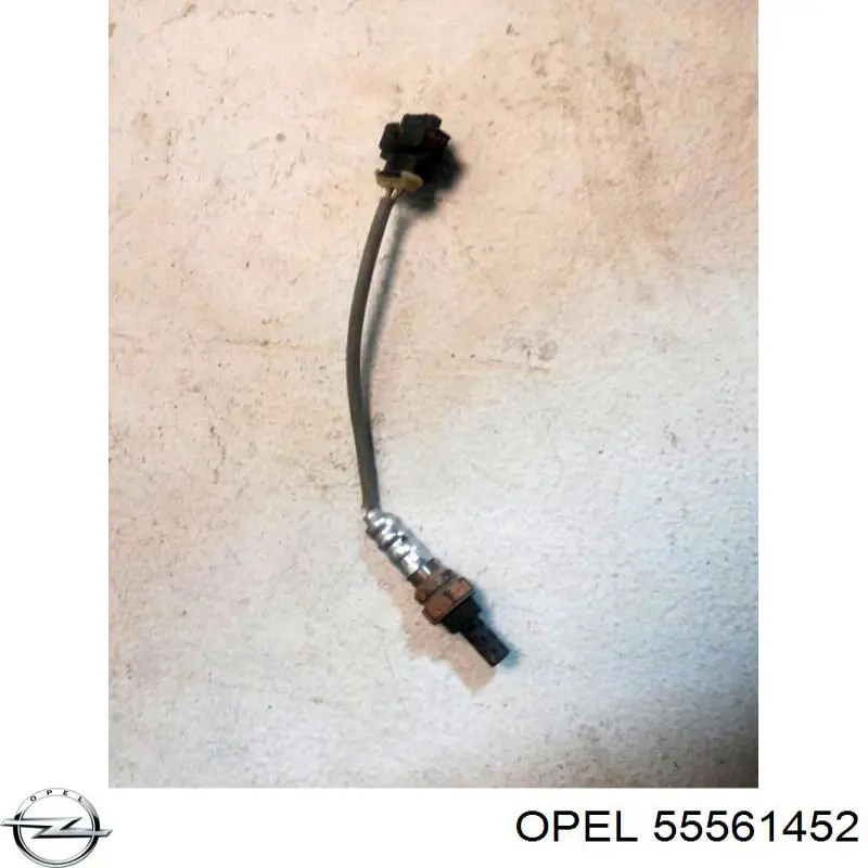 55561452 Opel