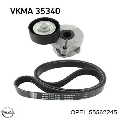 Comprar 55562245 Opel Tensor de correa poli V 
