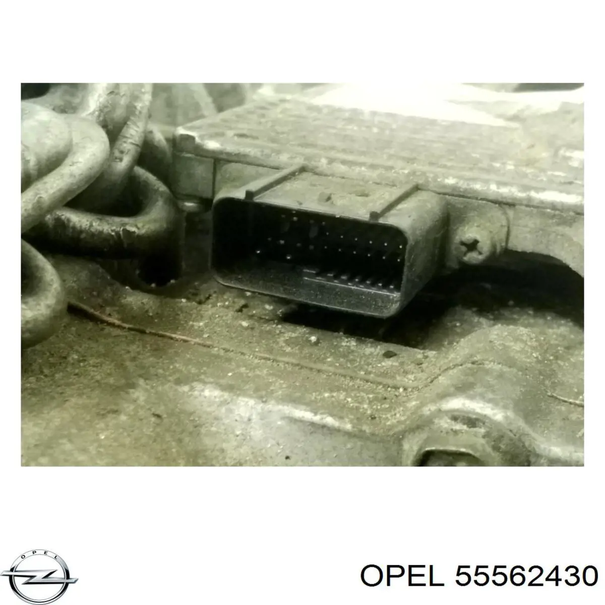 55562430 Opel