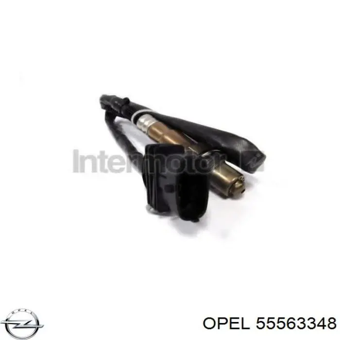 Sonda Lambda Opel Insignia G09