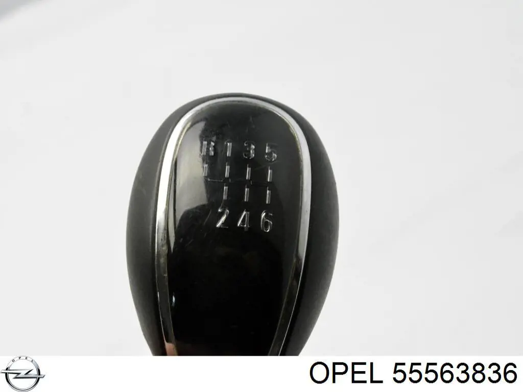 Comprar 55563836 Opel Pomo