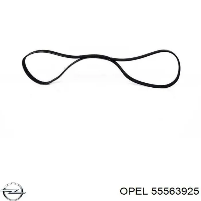 55563925 Opel correa trapezoidal
