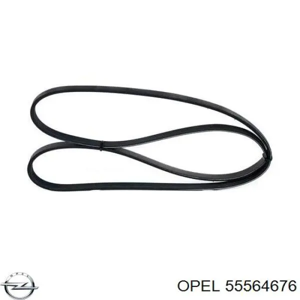 55564676 Opel correa trapezoidal
