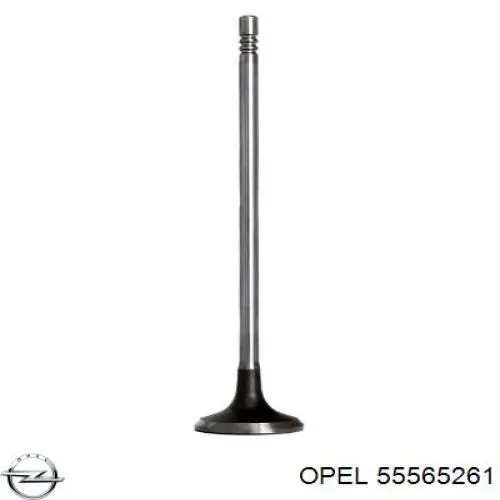 Válvula de admisión Opel 641464 precio, desde 20,00 EUR