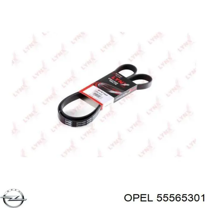 55565301 Opel correa trapezoidal