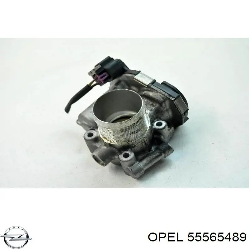Cuerpo de aceleración completo Opel 55565489 precio, desde 85,99 EUR