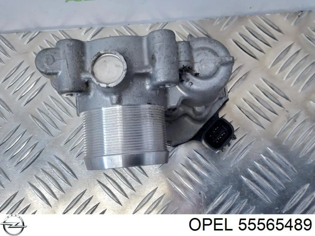 Comprar 55565489 Opel Cuerpo de mariposa