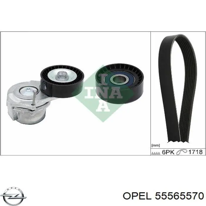 Tensor de la correa trapecial Opel 55565570 precio, desde 45,39 EUR