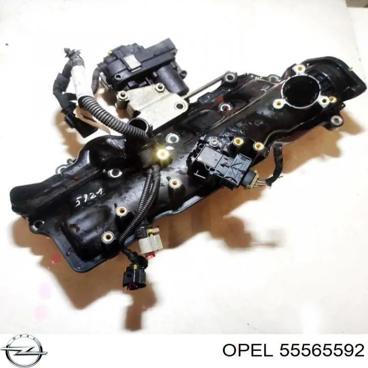 Módulo colector de admisión Opel 55565592 precio, desde 186,11 EUR