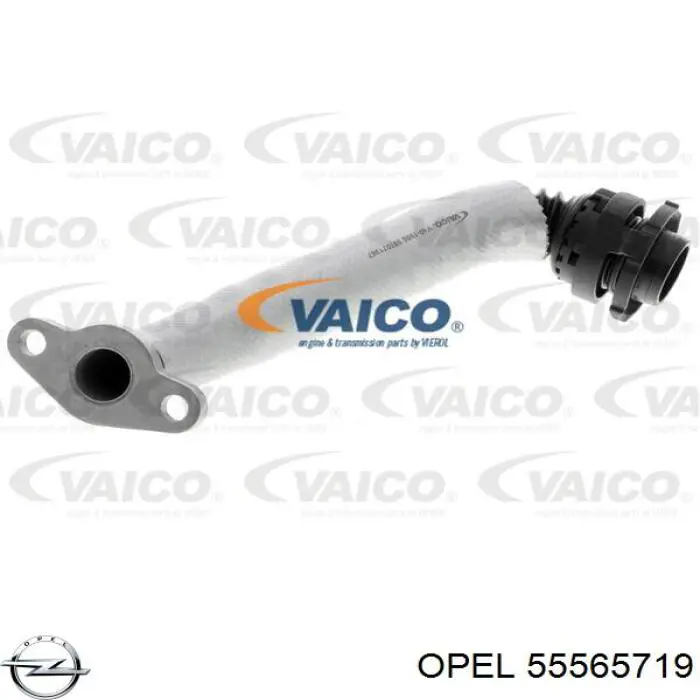 Comprar 225626 Impergom Tubo de drenaje de aceite de turbocompresor