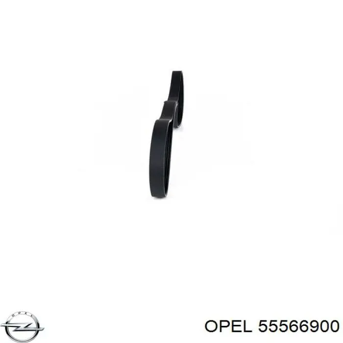 55566900 Opel correa trapezoidal