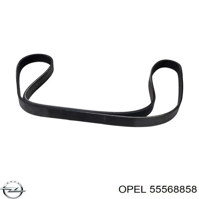Correa de alternador 55568858 Opel