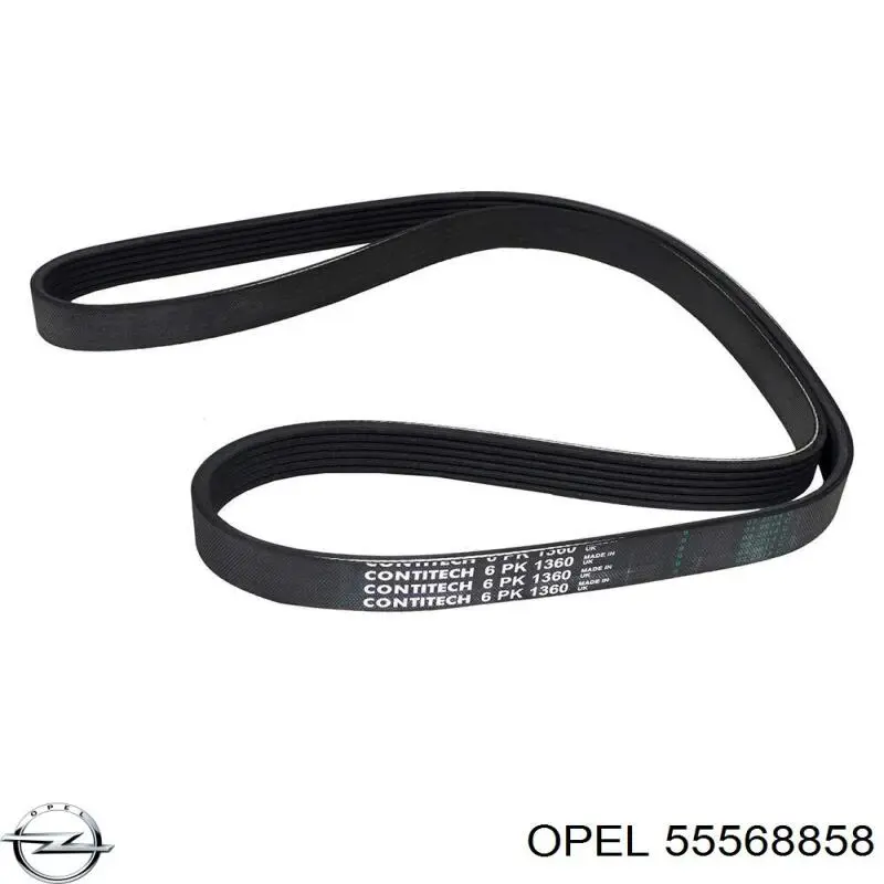Comprar 55568858 Opel Correa trapezoidal