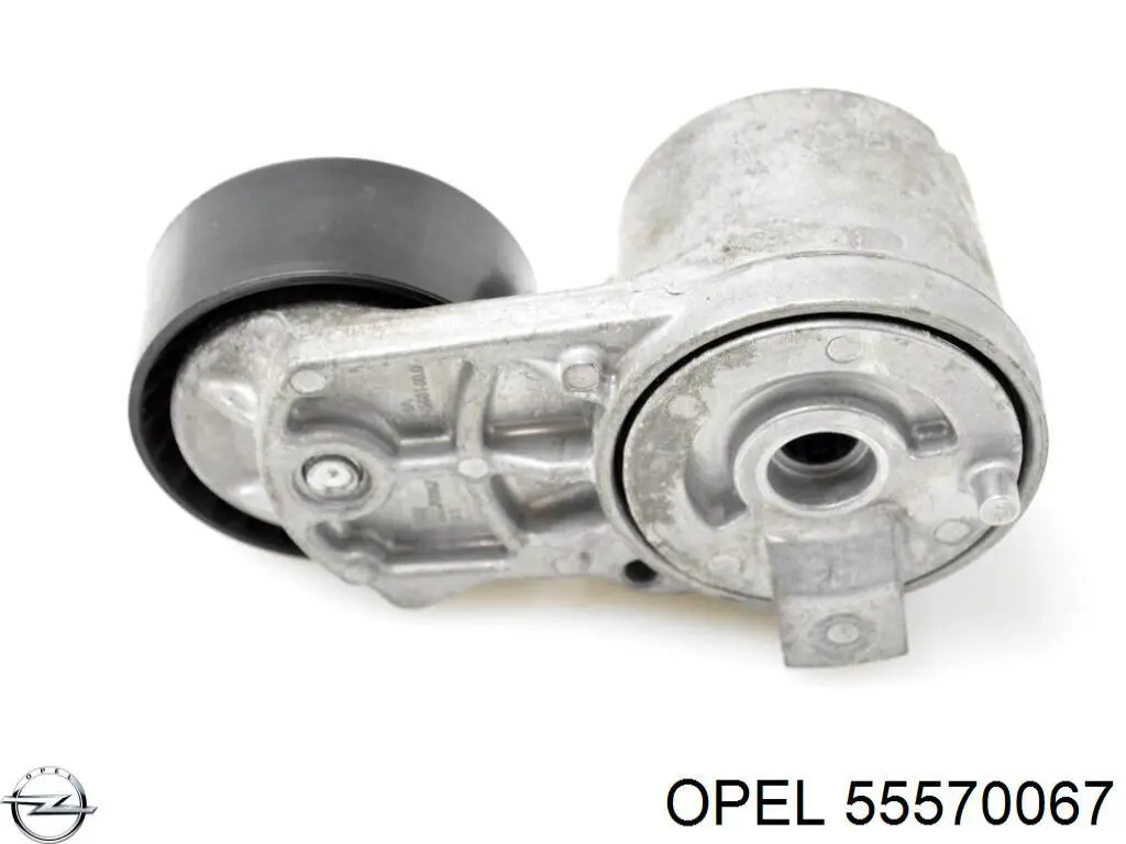 Tensor de correa poli V 178988 Febi