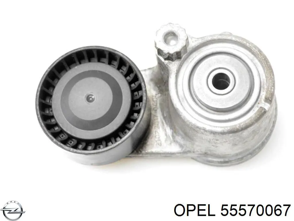 Comprar 178988 Febi Tensor de correa poli V 