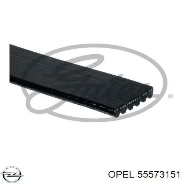 55573151 Opel correa trapezoidal