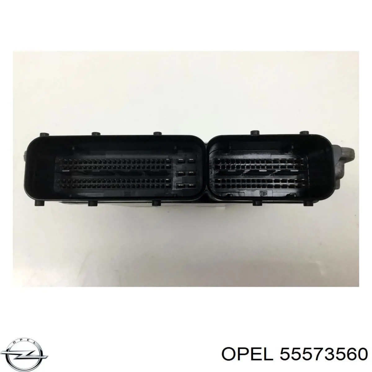 55573560 Opel centralina del motor / modulo de control del motor (ecu)