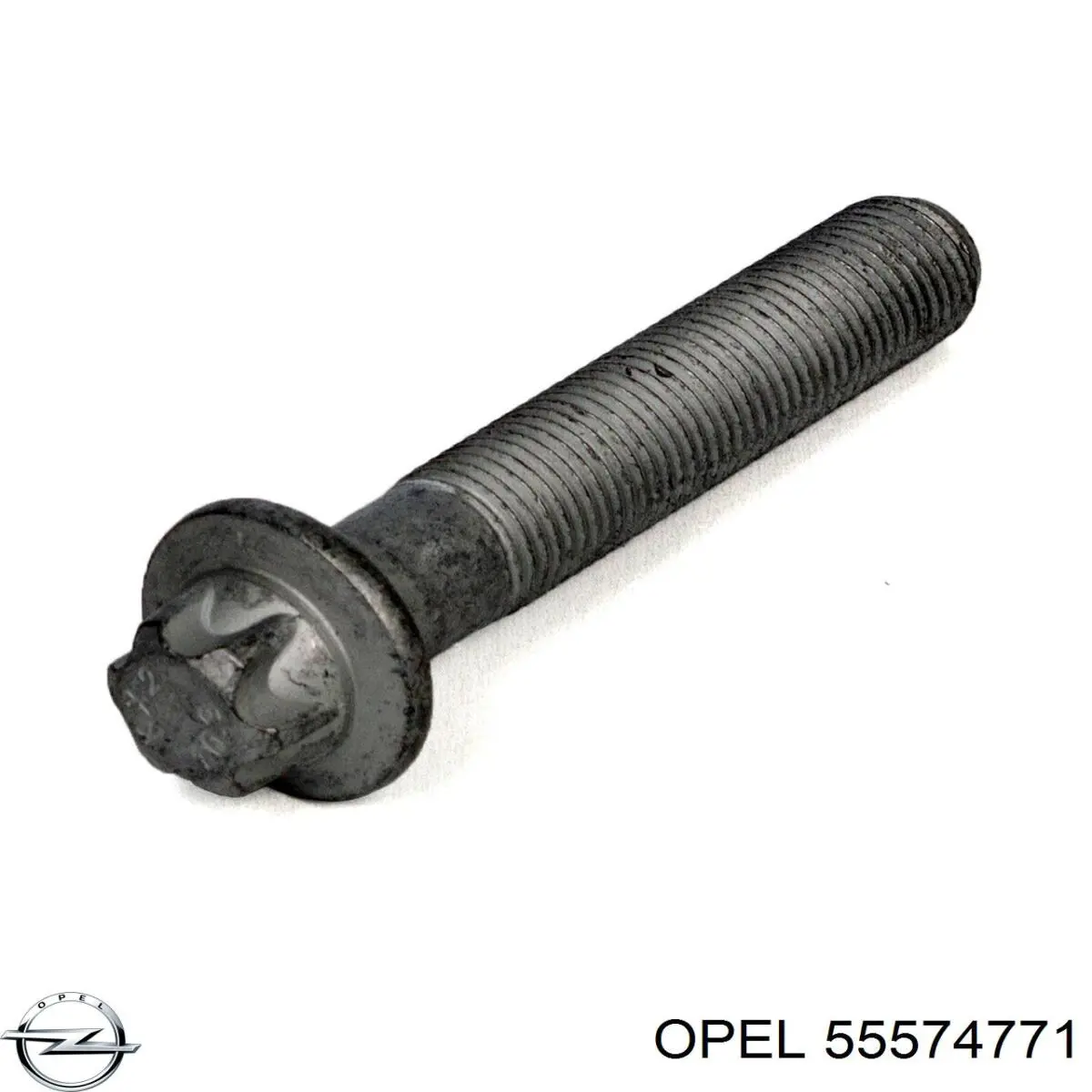 Polea del cigüeñal Swag 40103249 precio, desde 81,72 EUR