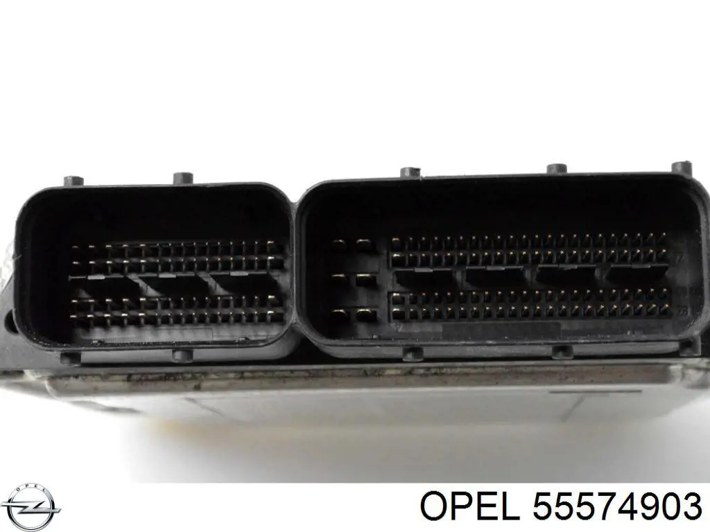 Unidad de control del motor  General Motors 55575349 precio, desde 47,92 EUR