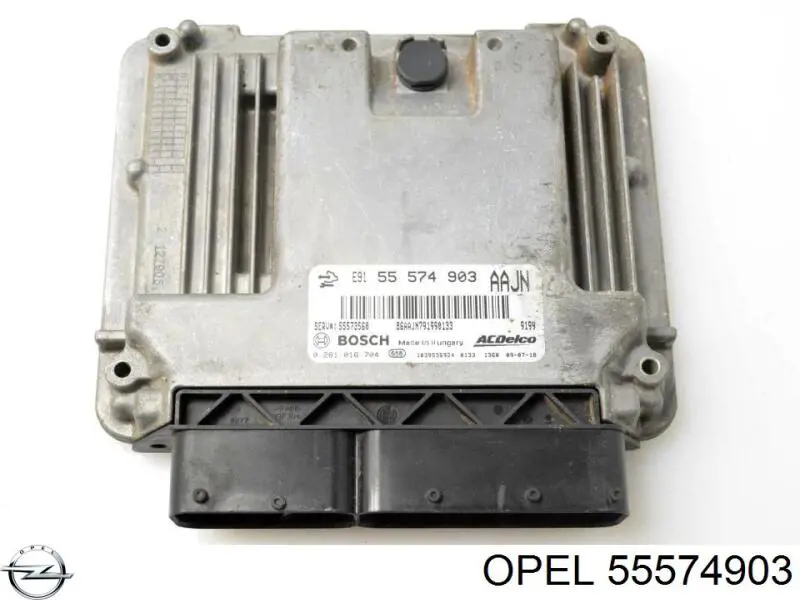 55575349 General Motors Centralina Del Motor