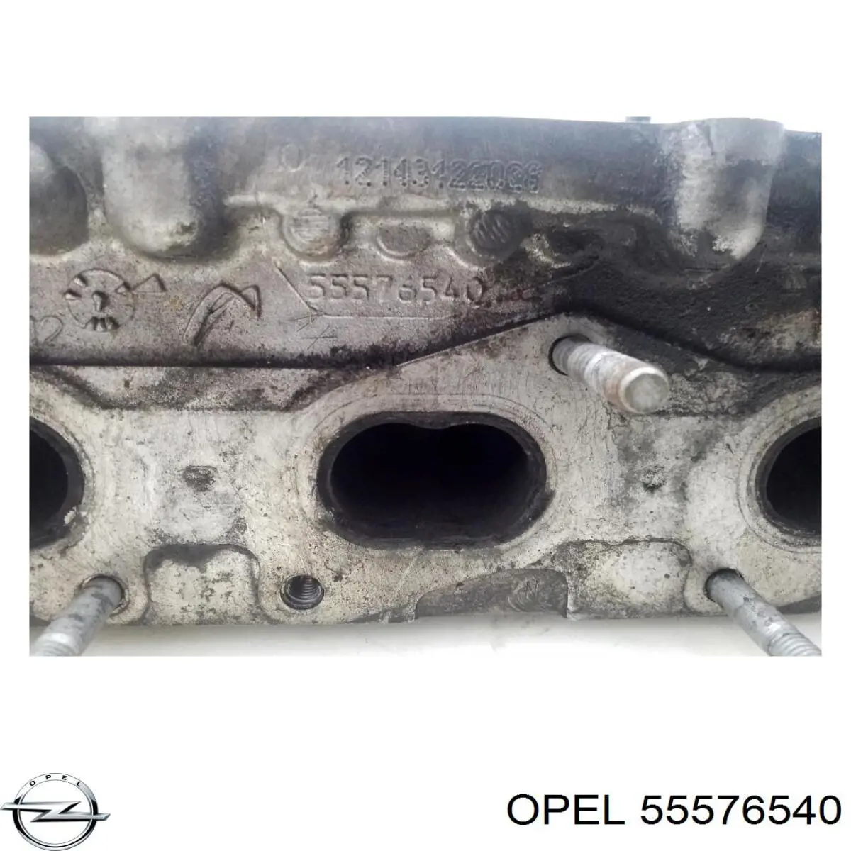  Opel 55576540 precio, desde 364,45 EUR