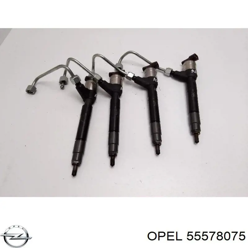 Comprar 55578075 Opel Inyector