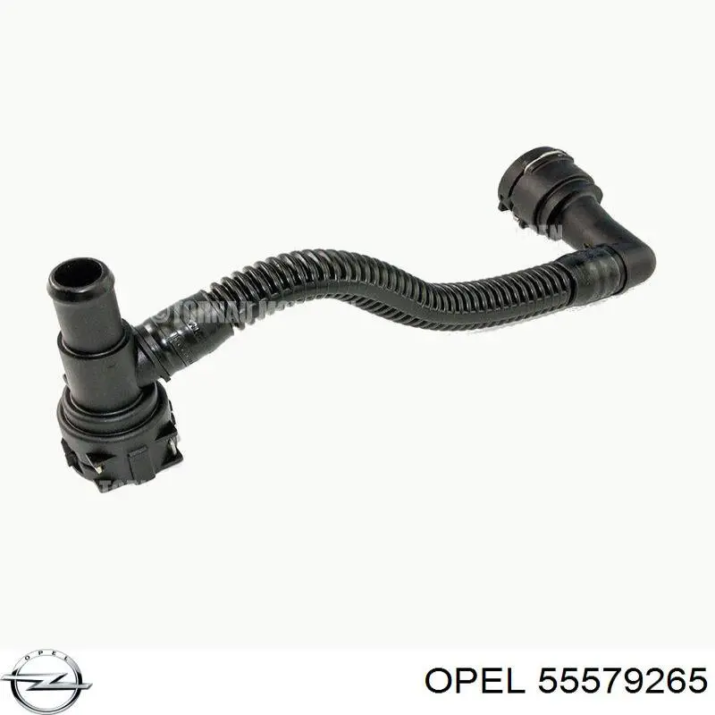 55579265 Opel manguera (tubo para enfriar el intercambiador de calor de aceite, línea de retorno)