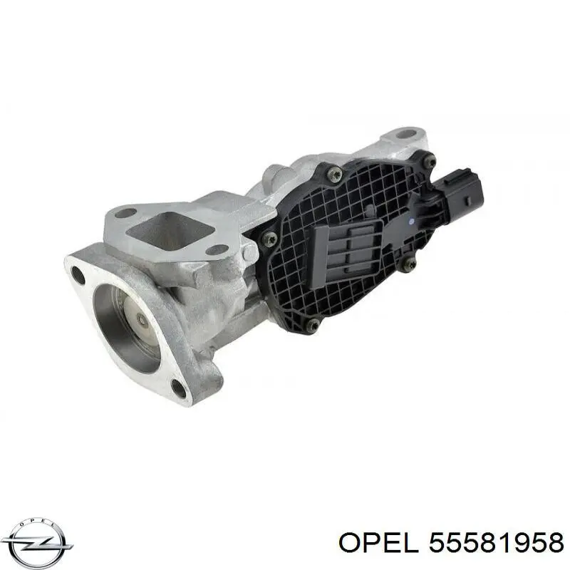 Comprar 55581958 Opel Válvula EGR