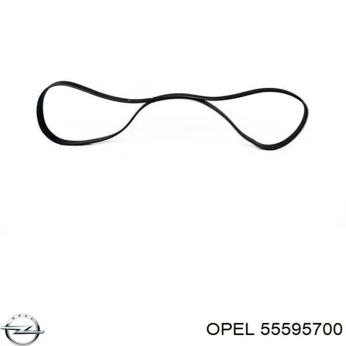 55595700 Opel correa trapezoidal