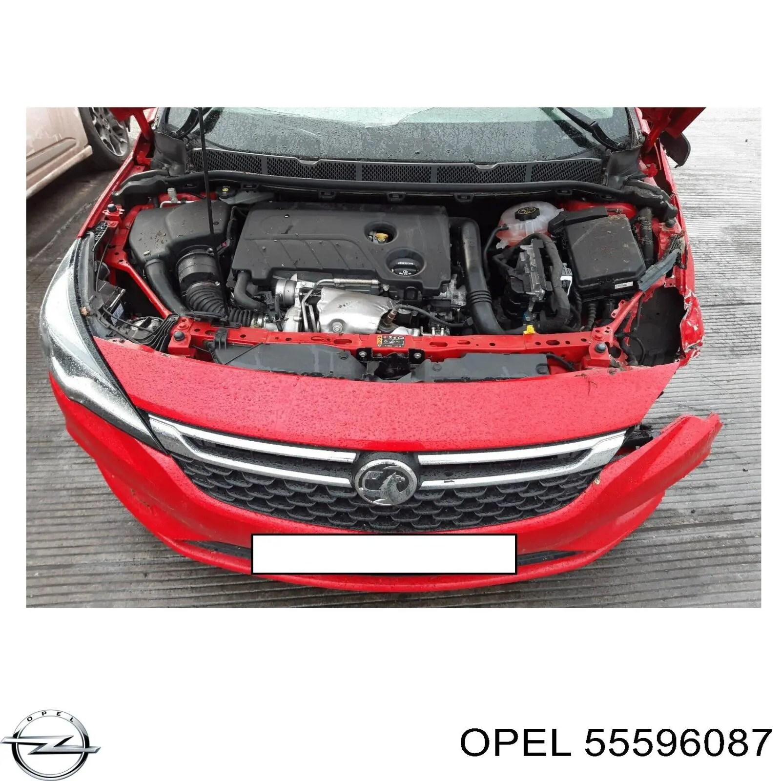 Comprar 55596087 Opel Tapa de balancines