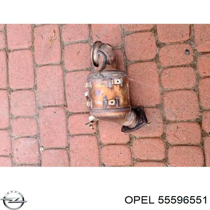 Comprar 55596551 Opel Catalizador