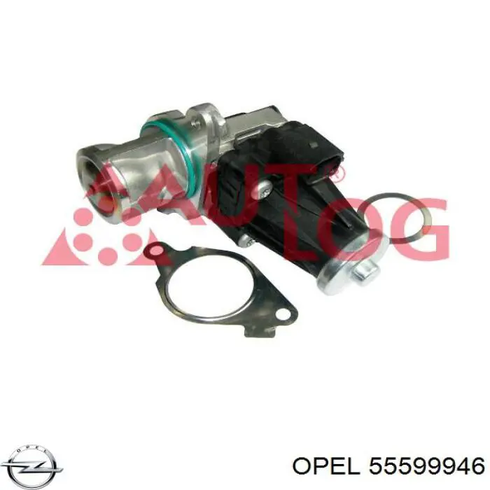 Comprar 55599946 Opel Válvula EGR