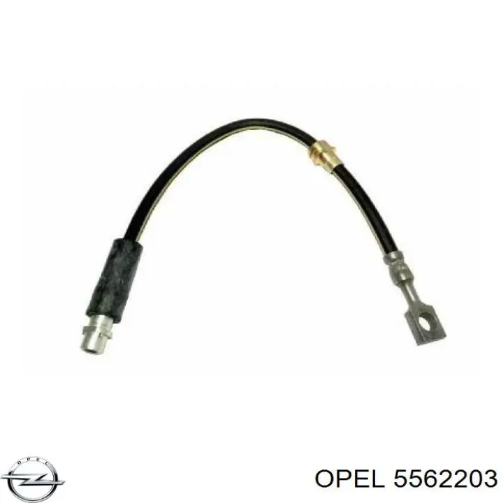 5562203 Opel latiguillo de freno delantero