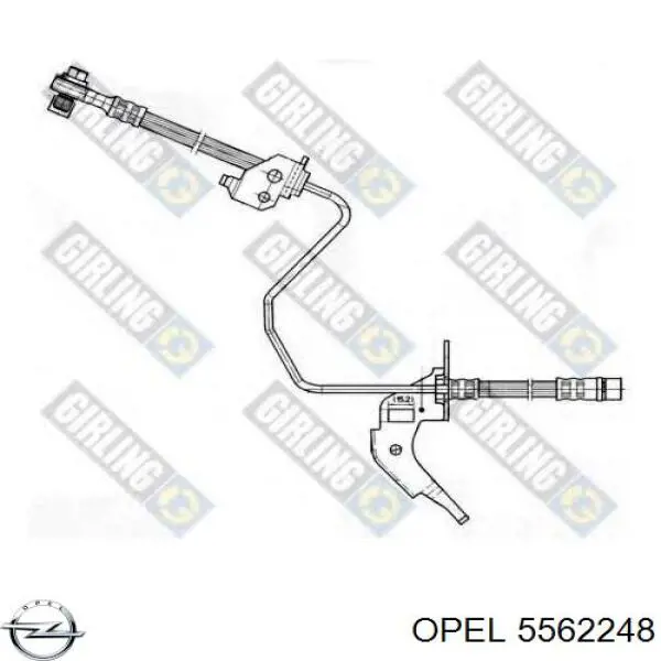 5562248 Opel latiguillos de freno trasero derecho