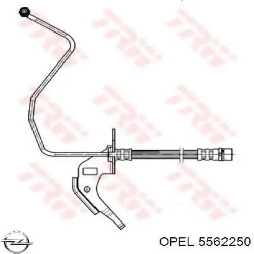 5562250 Opel tubo flexible de frenos trasero derecho