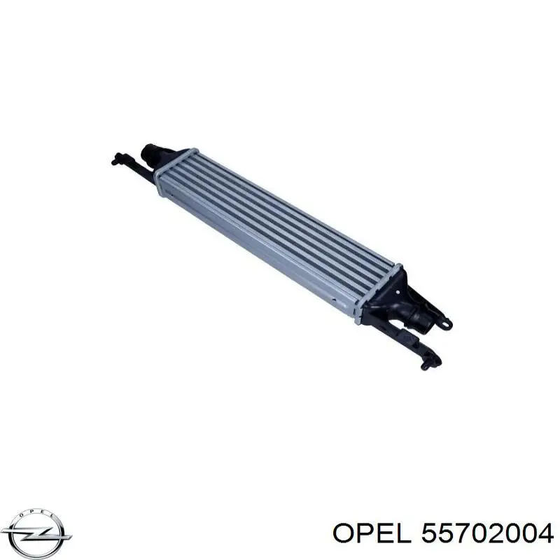 55702004 Opel intercooler